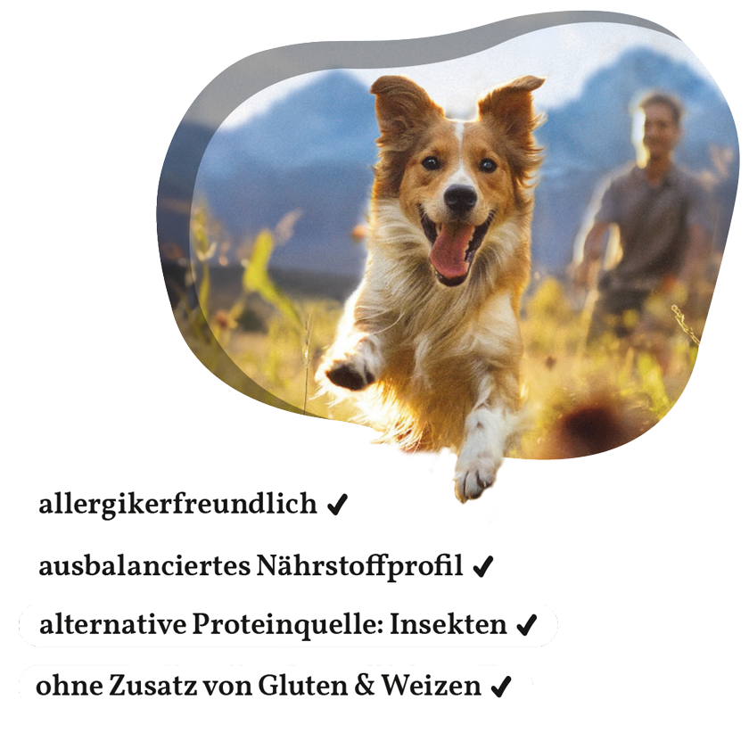 Fellows Gipfelstürmer Trockenfutter kaufen