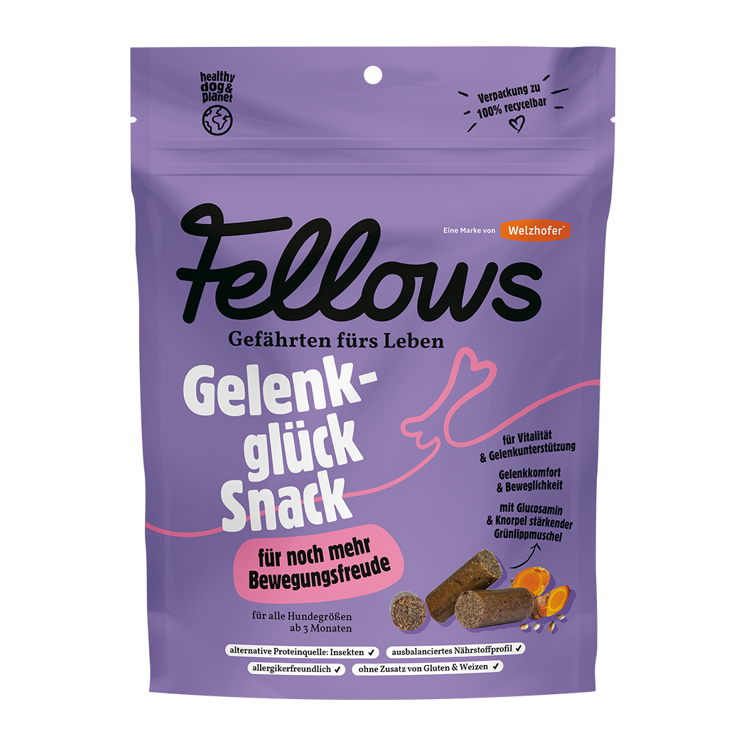 Fellows Gelenkglück Snack kaufen