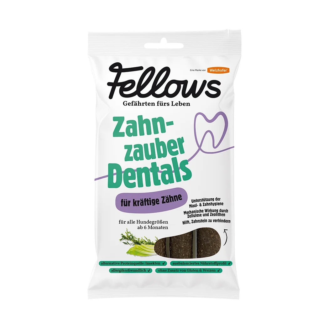 Fellows Zahnzauber Dentals kaufen